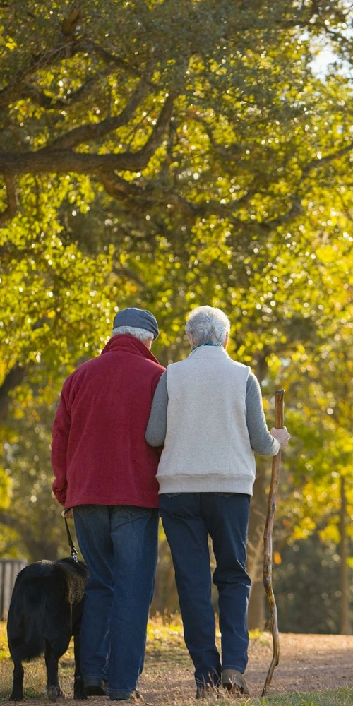 父母已经年迈,容不得我们耽搁或等待