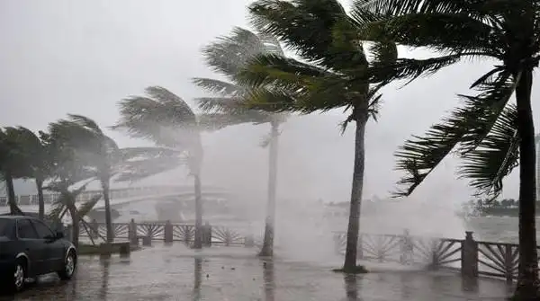 别以为昆明不会刮台风,你天真了!