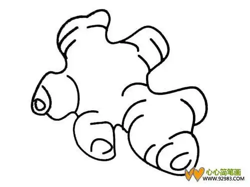 姜简笔画图片七七简笔画网姜简笔画如何画姜简笔画超简单的生姜简笔画