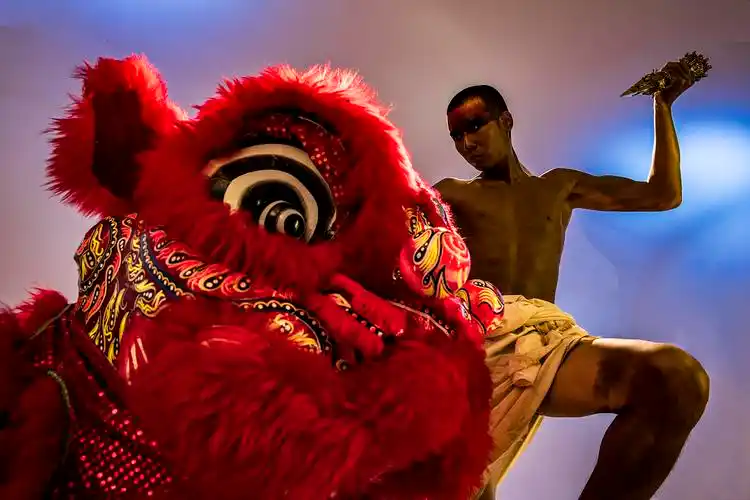 73曦烽作品73醒狮