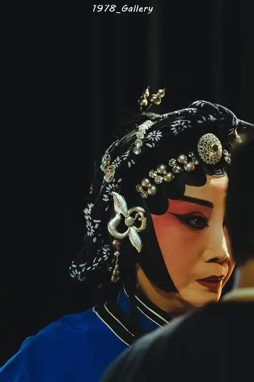 京剧【铡美案】薛亚萍/金锡华/陈少云/安平