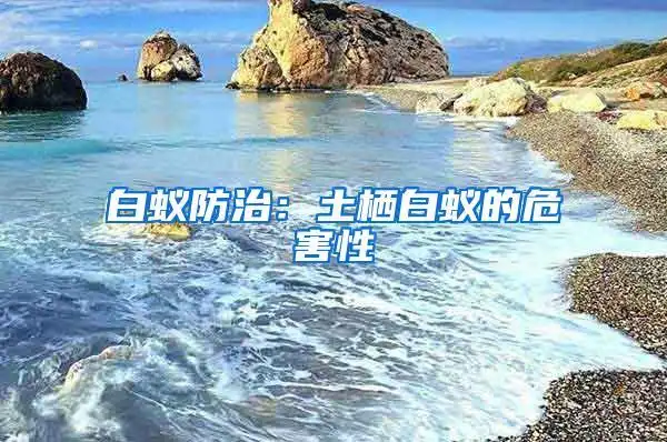 白蚁防治:土栖白蚁的危害性