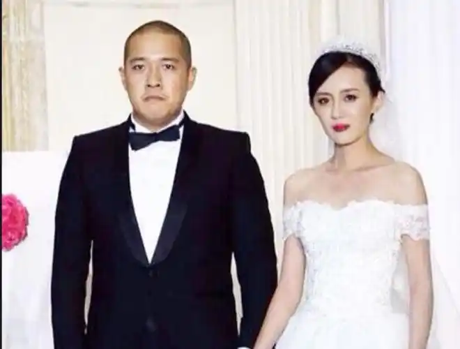 霍凡照片个人简历(张丰毅转头娶了小14岁霍凡)