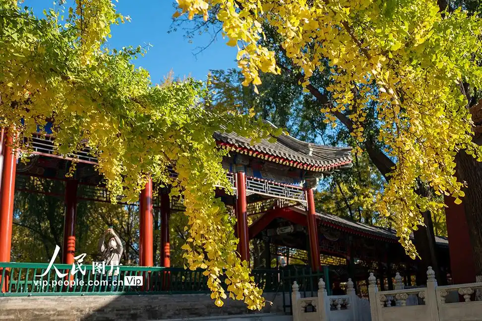 北京中山公园美景迎客来