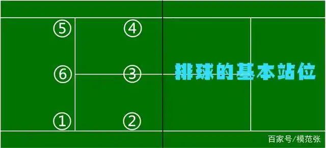 排球的站位及轮换规则