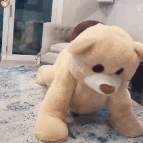 玩偶熊跳舞表情包动图第九期第二弹