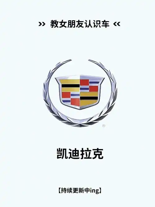 凯迪拉克车主很无奈莫名背锅