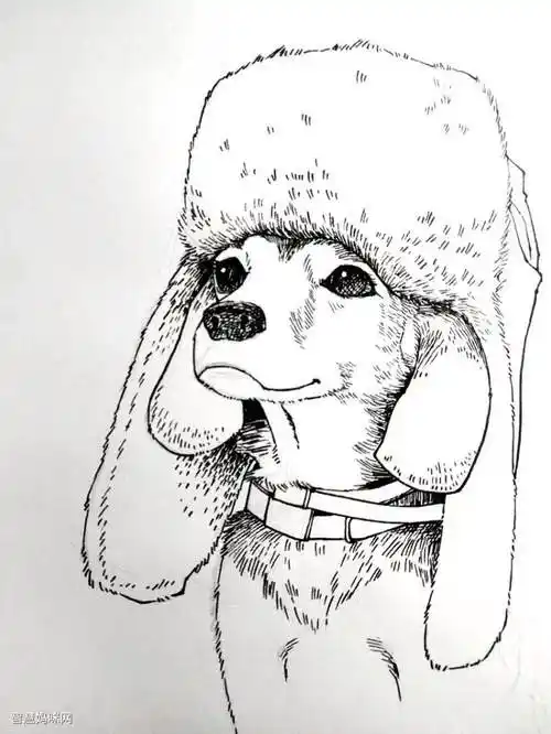 步骤3:铅笔草图完成后,用勾线笔进行勾线,该步骤需要考虑成稿线条的