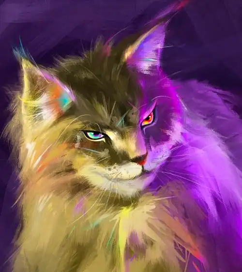 画了一只猫咪缅甸猫