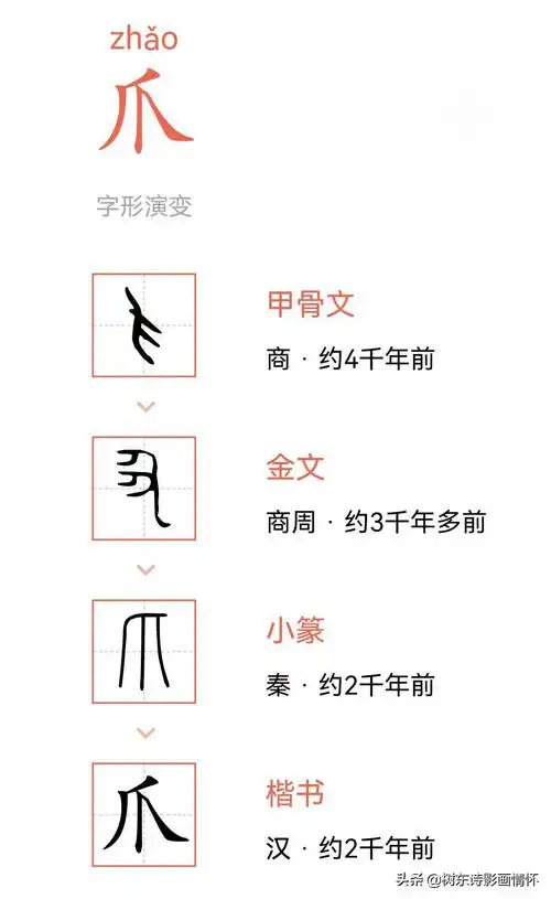 爪字的由来(爪的汉字演变)