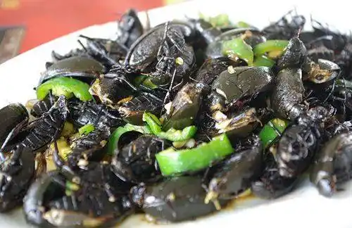 最不受老外欢迎的中国美食,甚至有的中国人自己都不敢吃!