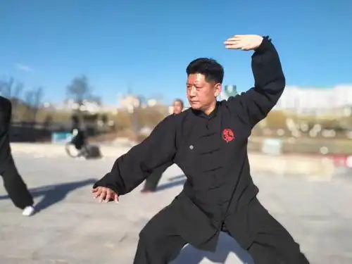 涉县开门八极拳协会