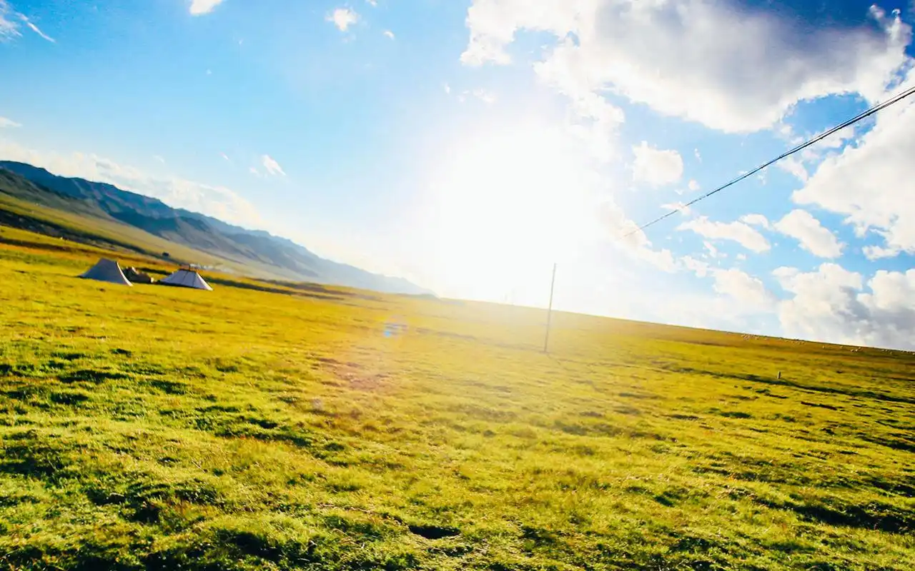 首页 桌面壁纸 风景壁纸 辽阔的绿色大草原美景摄影图片电脑壁纸 上一