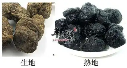 生地和熟地的区别