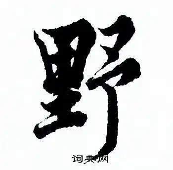 野字行书写法_野行书怎么写好看_野书法图片_词典网