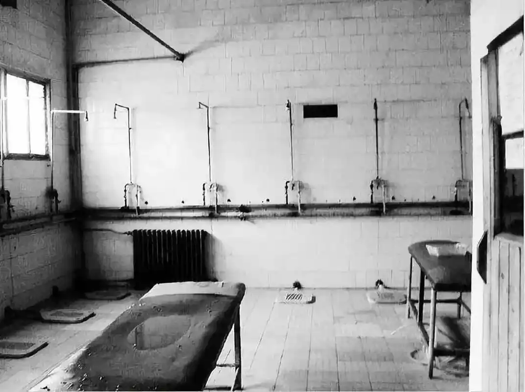 其实吧你们幻想的东北女澡堂是这样婶儿的