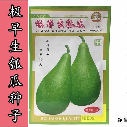 正源极早生瓠瓜种子早生瓠子瓜种籽葫芦瓜瓢瓜圆瓠子蒲瓜蔬菜种籽