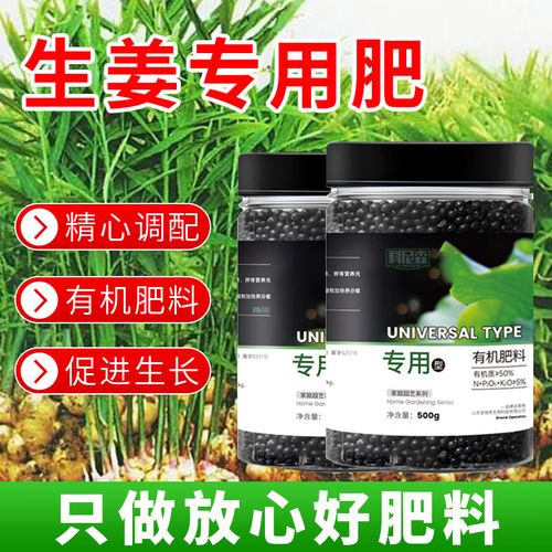 生姜专用肥料大姜蔬菜膨大根茎块增长增产增收生姜水溶肥叶面肥料
