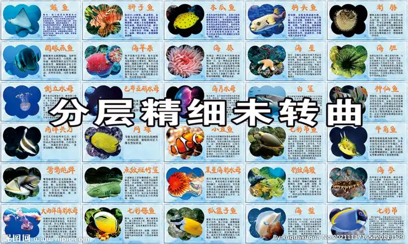 海洋生物简介设计图__广告设计_广告设计_设计图库_昵图网nipic.com
