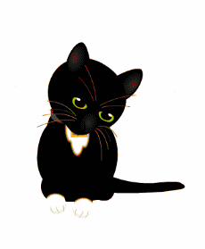 新浪黑猫投诉试运营启动,用户消费权益保障添利器