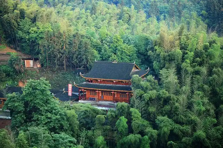 标题:【竹林人家】