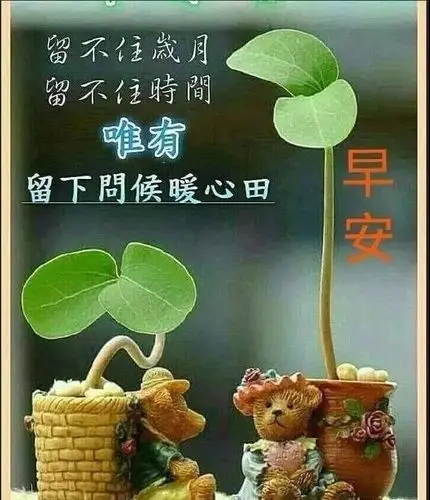 早上好图片带字和鲜花2019早晨好简单祝福语