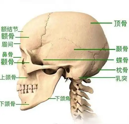 头大脸大的女生如何变漂亮