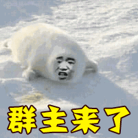 群主来了gif动图_动态图_表情包下载_soogif