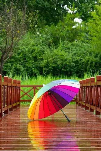 雨伞 雨伞 雨中 场景