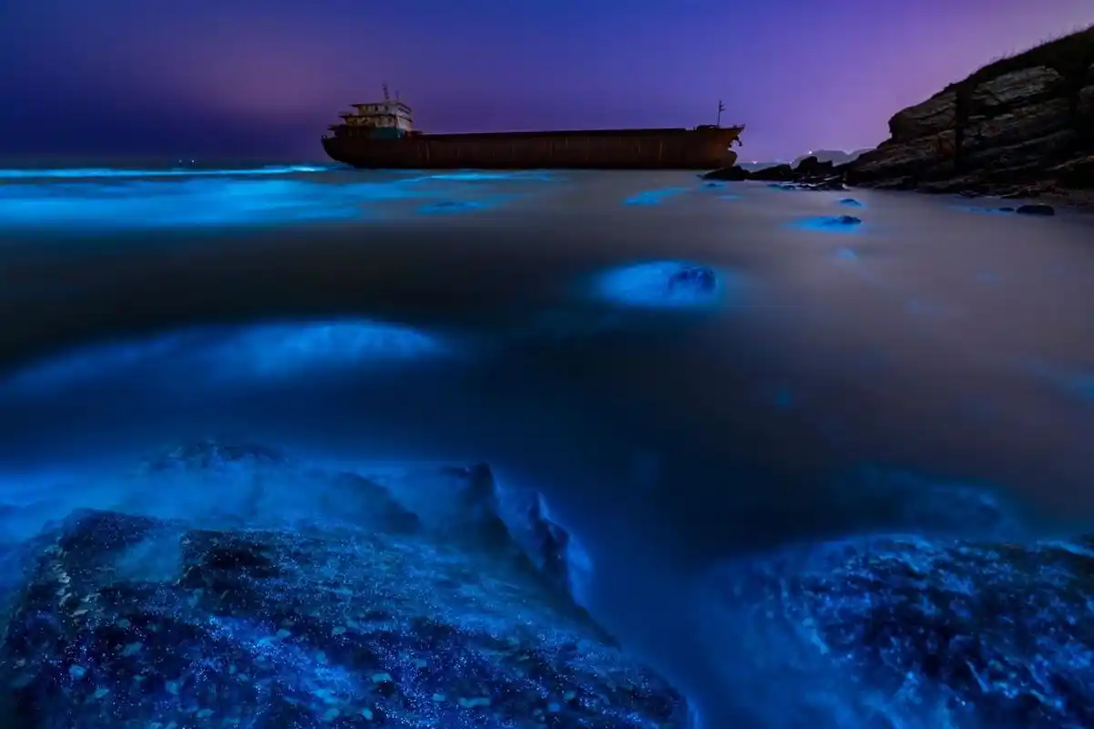 大连荧光海(小众景点) 又到了荧光海的季节,连续蹲守几夜,极其幸运