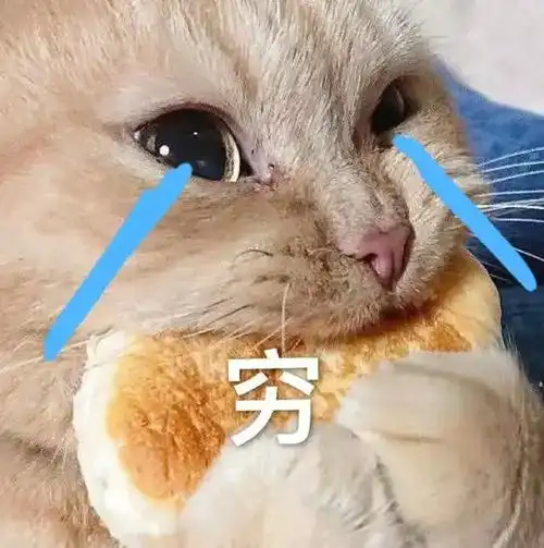 萌宠gif猫星人gif穷gif没钱gif呆萌gif可爱gif