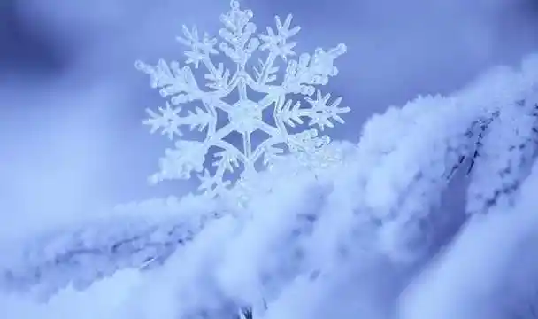 天津又要下雪啦这些地区将迎中雪预计降雪时间是