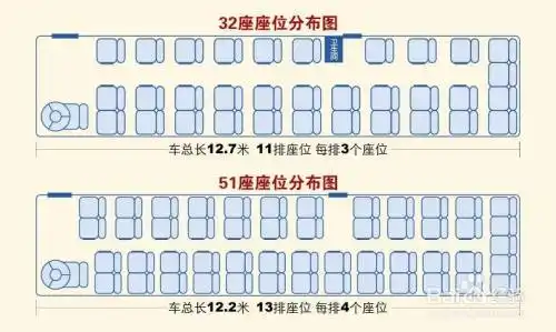 大巴上座位怎么编号的