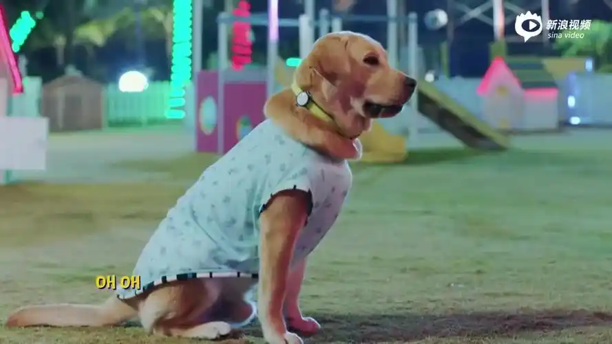 《神犬小七2》曝mv 高甜感人