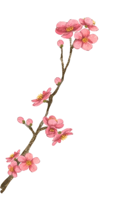 古风素材-花瓣网|陪你做生活的设计师 | 戏