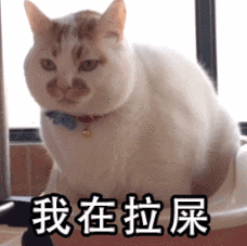 我在拉屎(猫咪表情包)_猫咪_拉屎表情