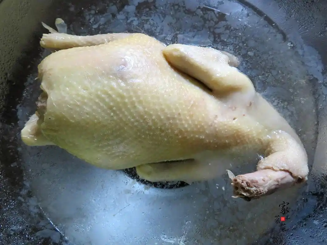 广东白切鸡教你最正宗的白切鸡做法只需几个技巧皮脆肉滑