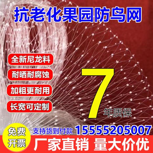 果树防鸟网樱桃葡萄果园大棚用的尼龙纱网丝网防护罩鱼塘养殖天网