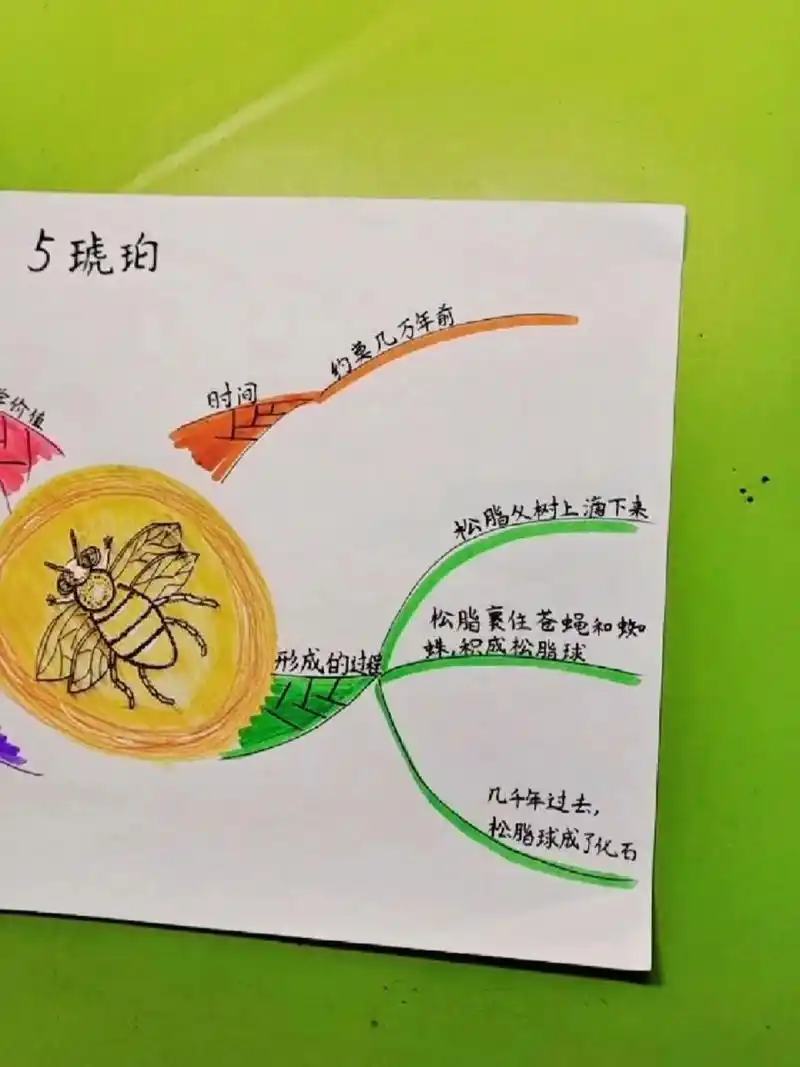 四年级语文《琥珀》思维导图  的女儿吃完晚饭,一个人躲房间绘制思维