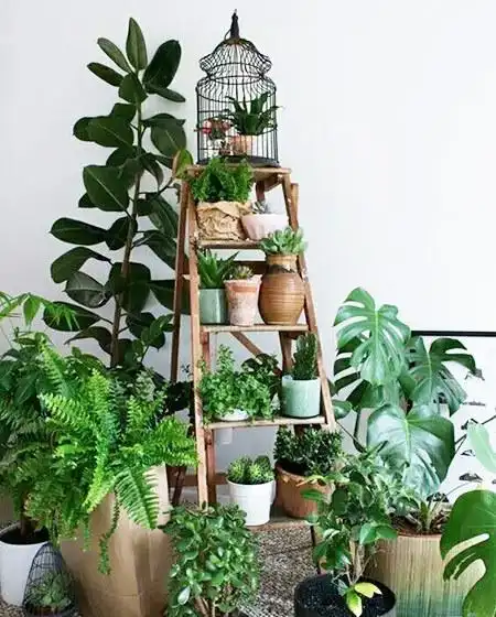 阳台绿植装饰效果图