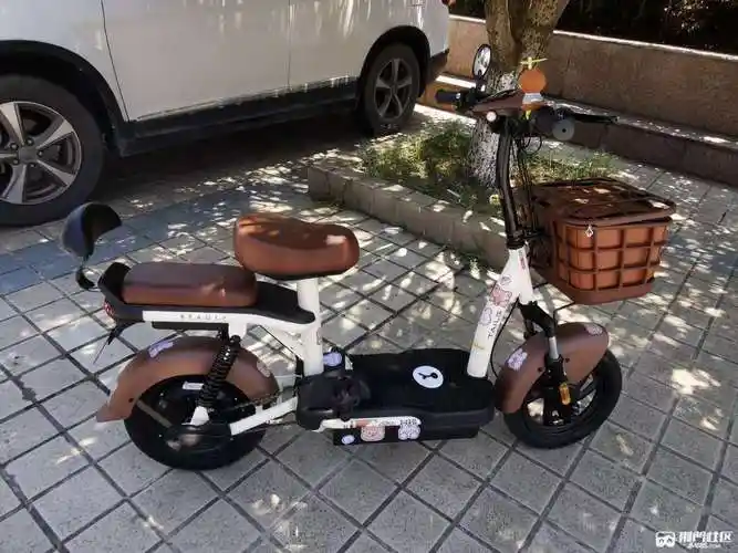 台铃小钢豆电动自行车