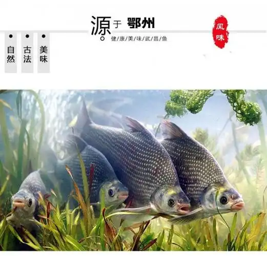 武昌鱼红烧味麻辣味豆豉味整条开袋即食 258克红烧味4袋【图片 价格