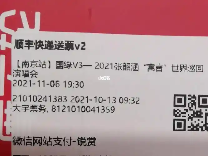 张韶涵演唱会116南京