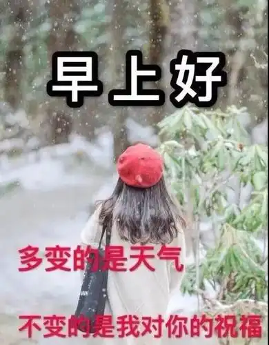 12月最新早上好暖心的祝福语句,早上最漂亮的问候表情图片