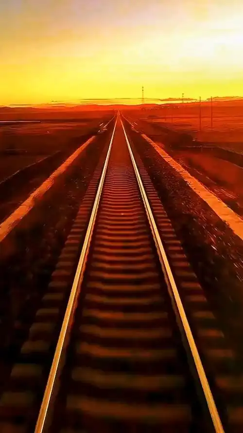 人生这趟列车,总要学会一个人乘坐,往来际遇,上车下车皆过客