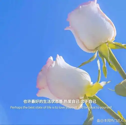 适合发朋友圈的高质量文案短句