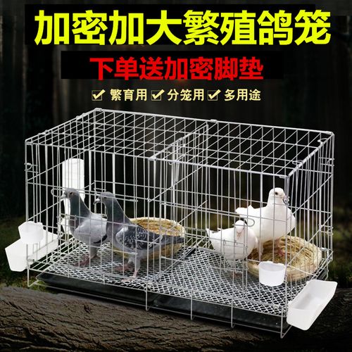 鸽子笼养殖笼家用带隔断配对繁殖笼大号鸽舍鸽子用具清仓折叠鸽笼