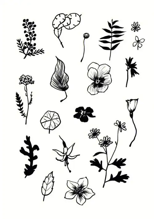 黑白贴纸花花植物手帐素材