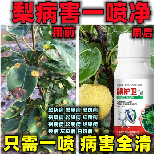 梨树病全治梨树专用药梨树专用杀菌剂梨树锈病黑斑病褐斑病软腐病