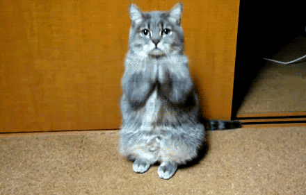 暖心|百色一产妇大出血 南宁百色上演跨城紧急救援行动